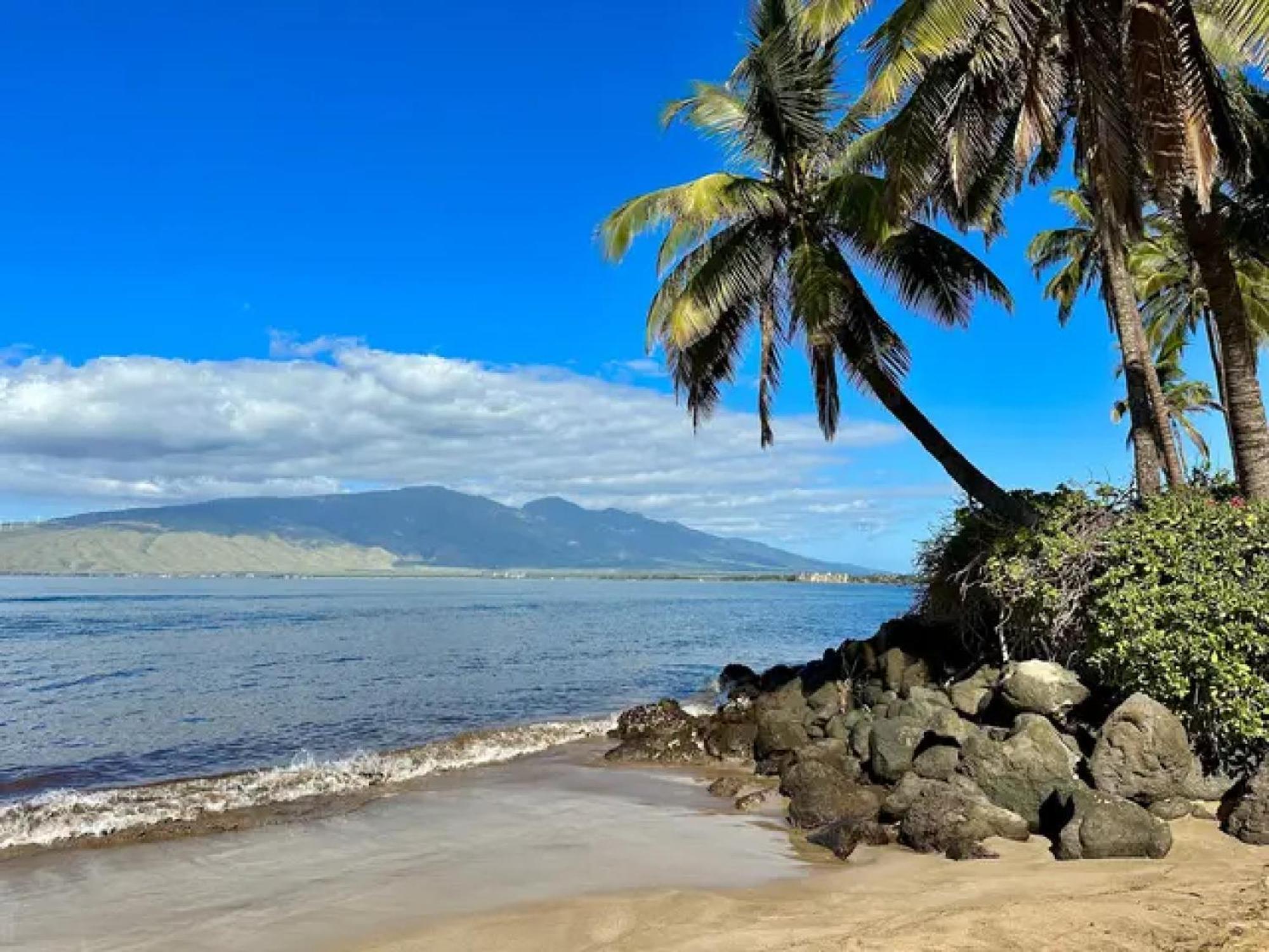 3Mins Walk To Beach! Laundry, Pool, Hot Tub & More Kihei Exteriér fotografie